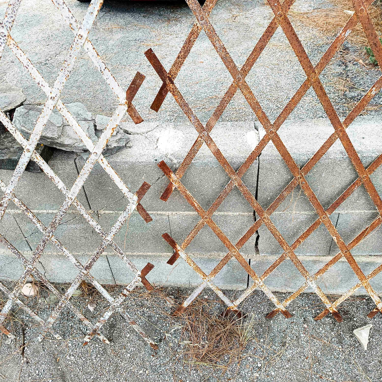 Set di grate griglie per finestre in ferro inizio XX secolo
