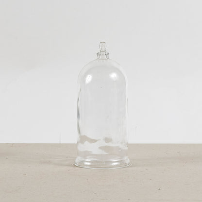 campana cappa in vetro trasparente cloche