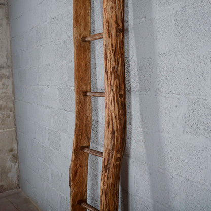Scala antica in legno  a pioli Italia  XX secolo
