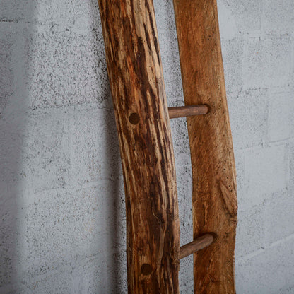Scala antica in legno  a pioli Italia  XX secolo