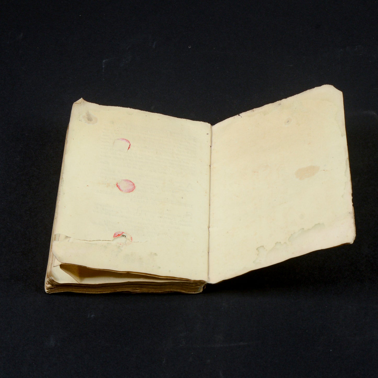 Libro del 1819 Sonetti di Cantalamessa Carboni Ascoli Piceno