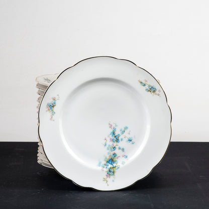 Set 15 piatti piani decorati floreali ceramica 1950