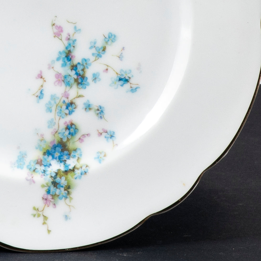 Set 15 piatti piani decorati floreali ceramica 1950