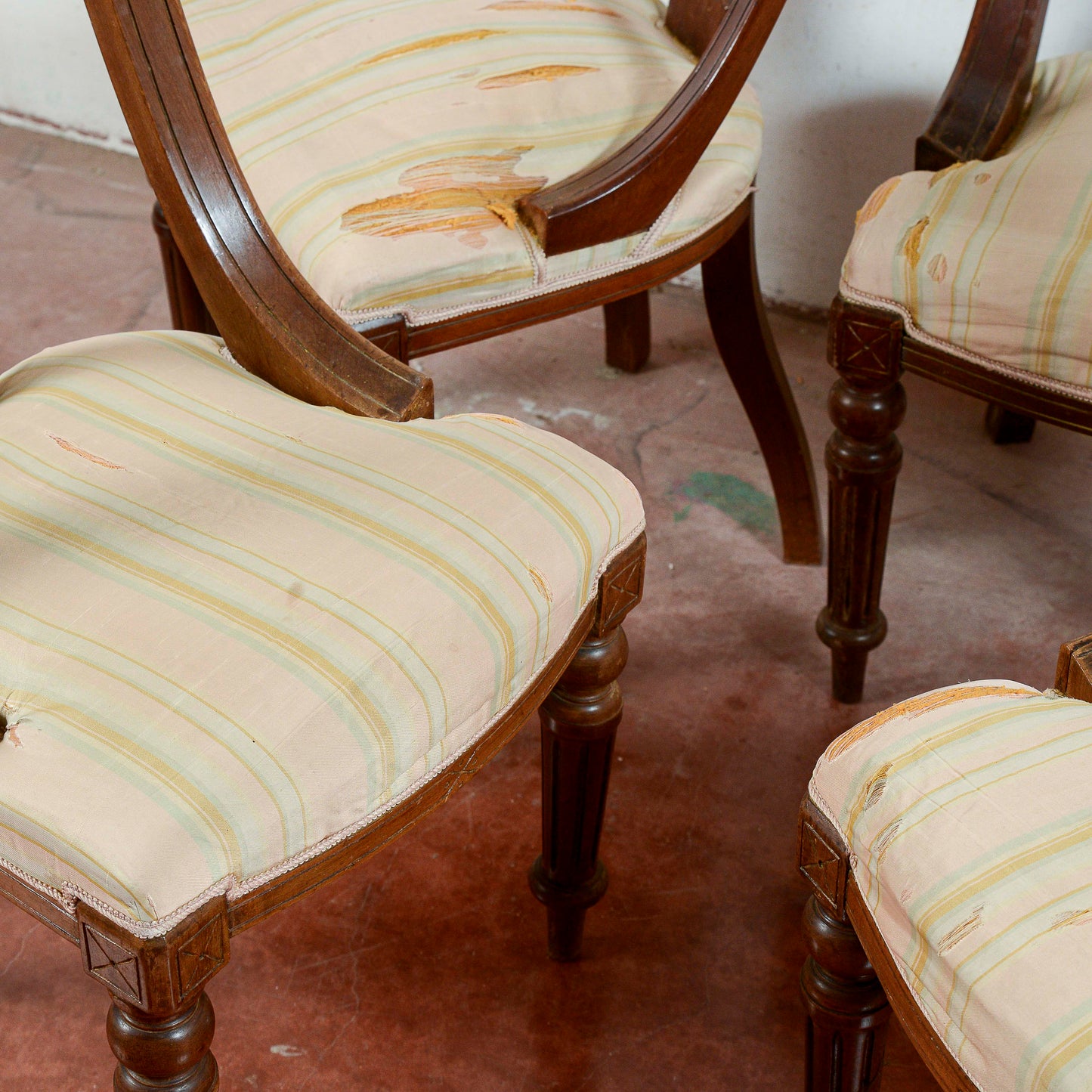 Set 5 sedie poltroncine  intagliate