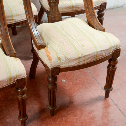 Set 5 sedie poltroncine  intagliate