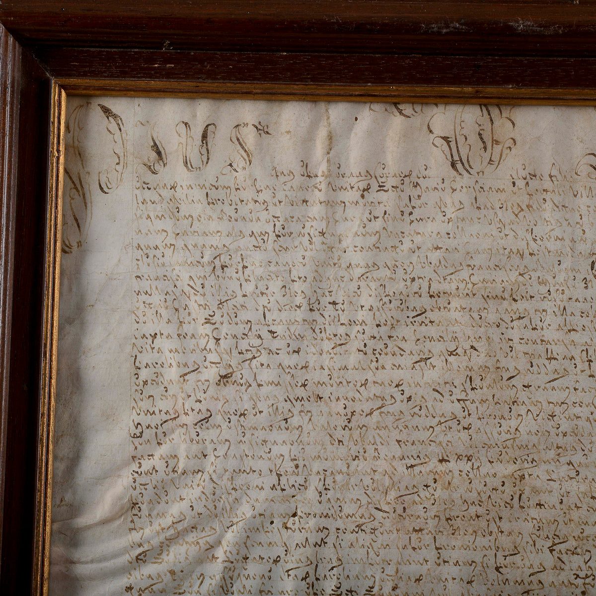 Antico documento attestato in carta pergamena secolo XVII