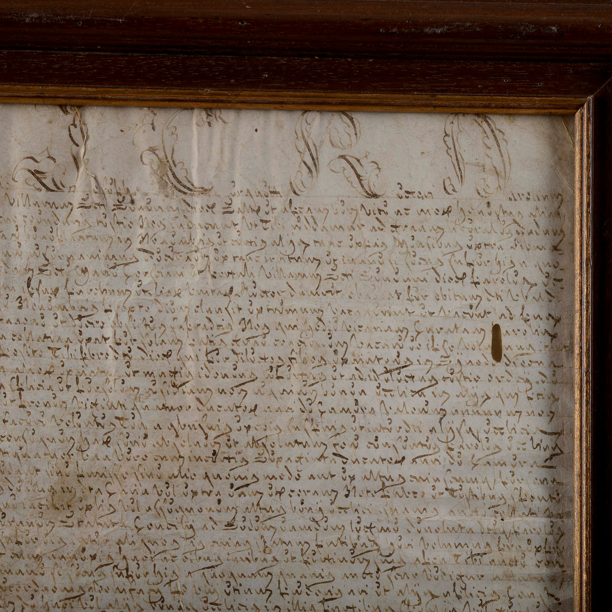 Antico documento attestato in carta pergamena secolo XVII