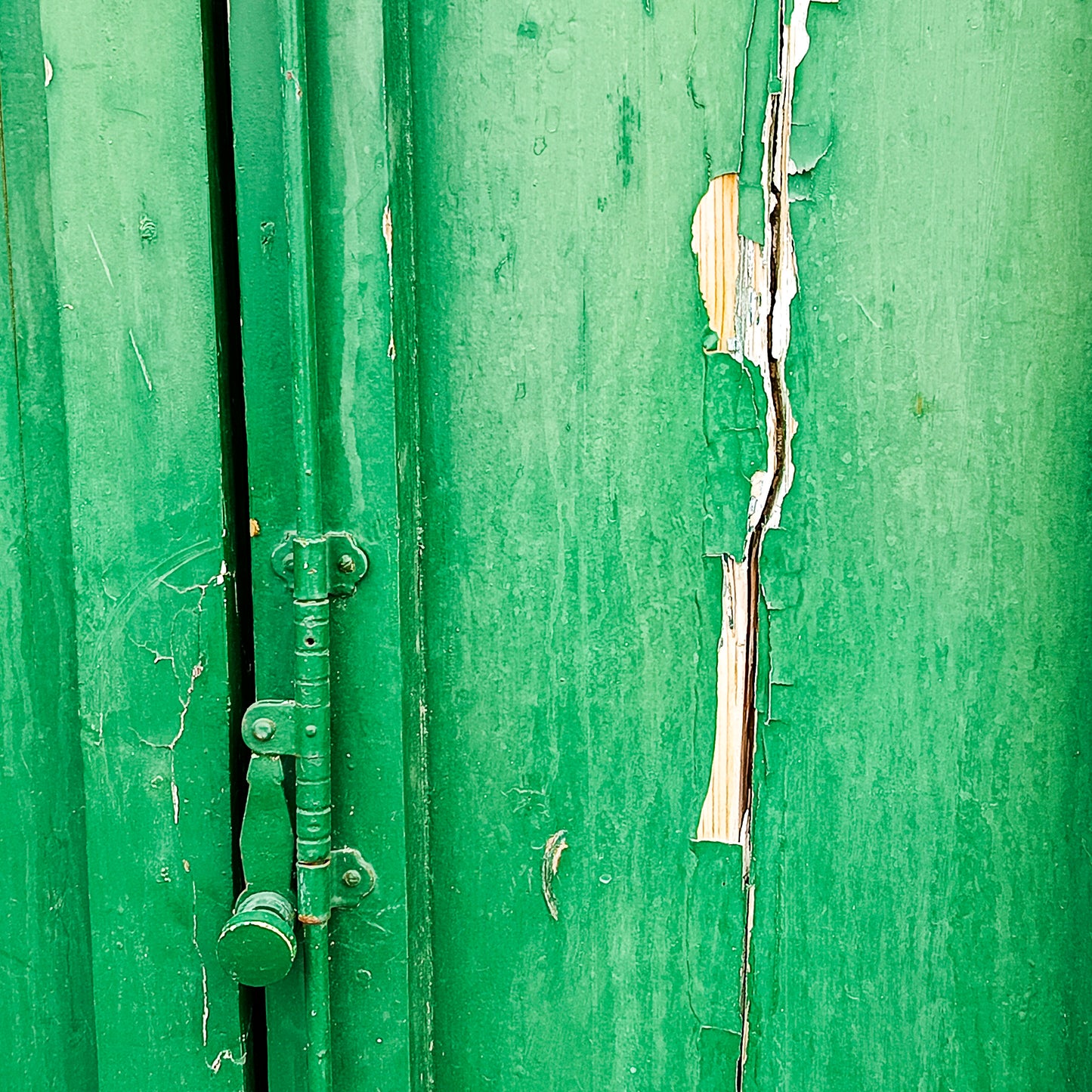 Porta a due ante stondata in abete verniciata verde XX secolo