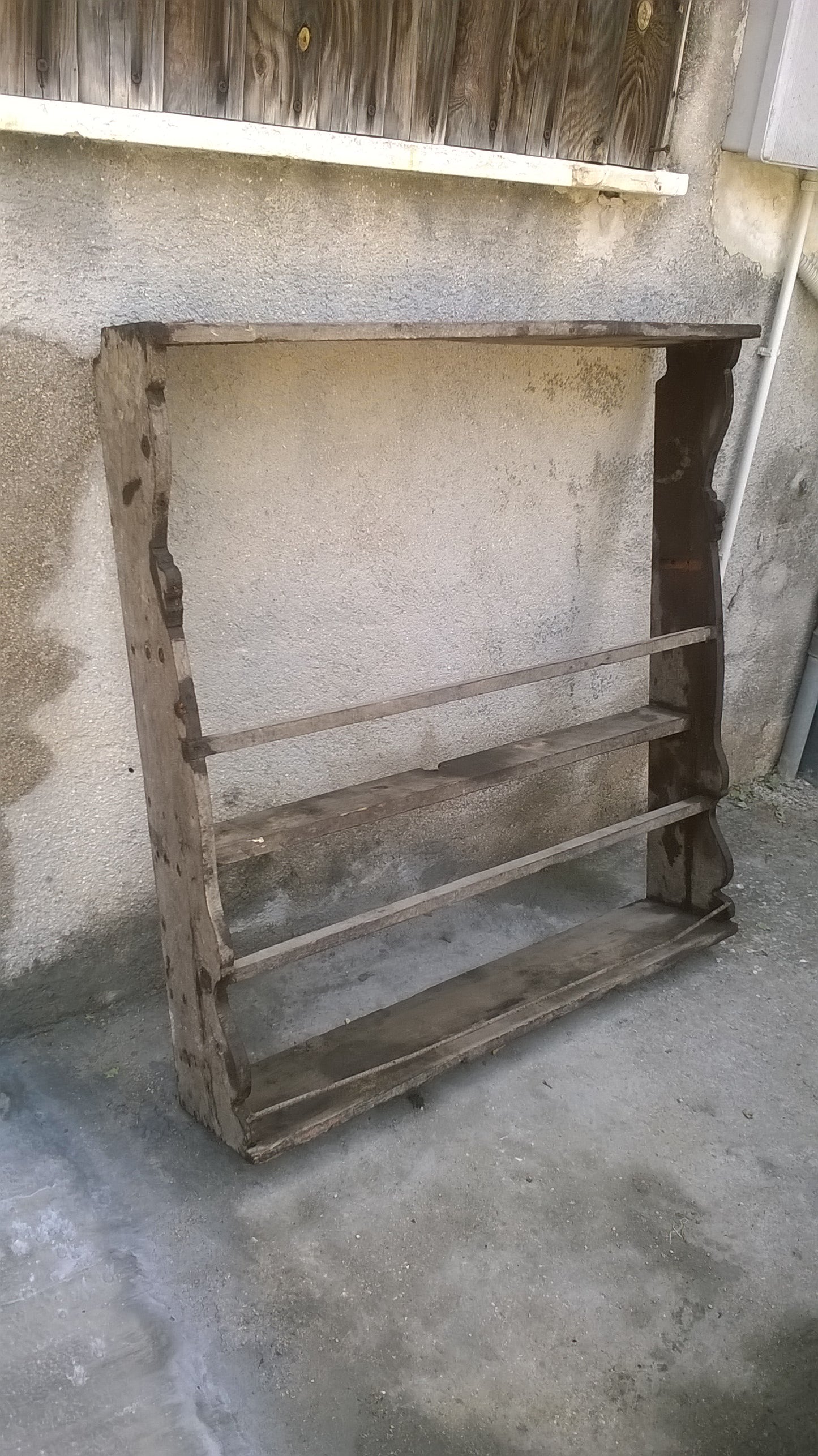 PIATTAIA MARCHIGIANA FINE 800