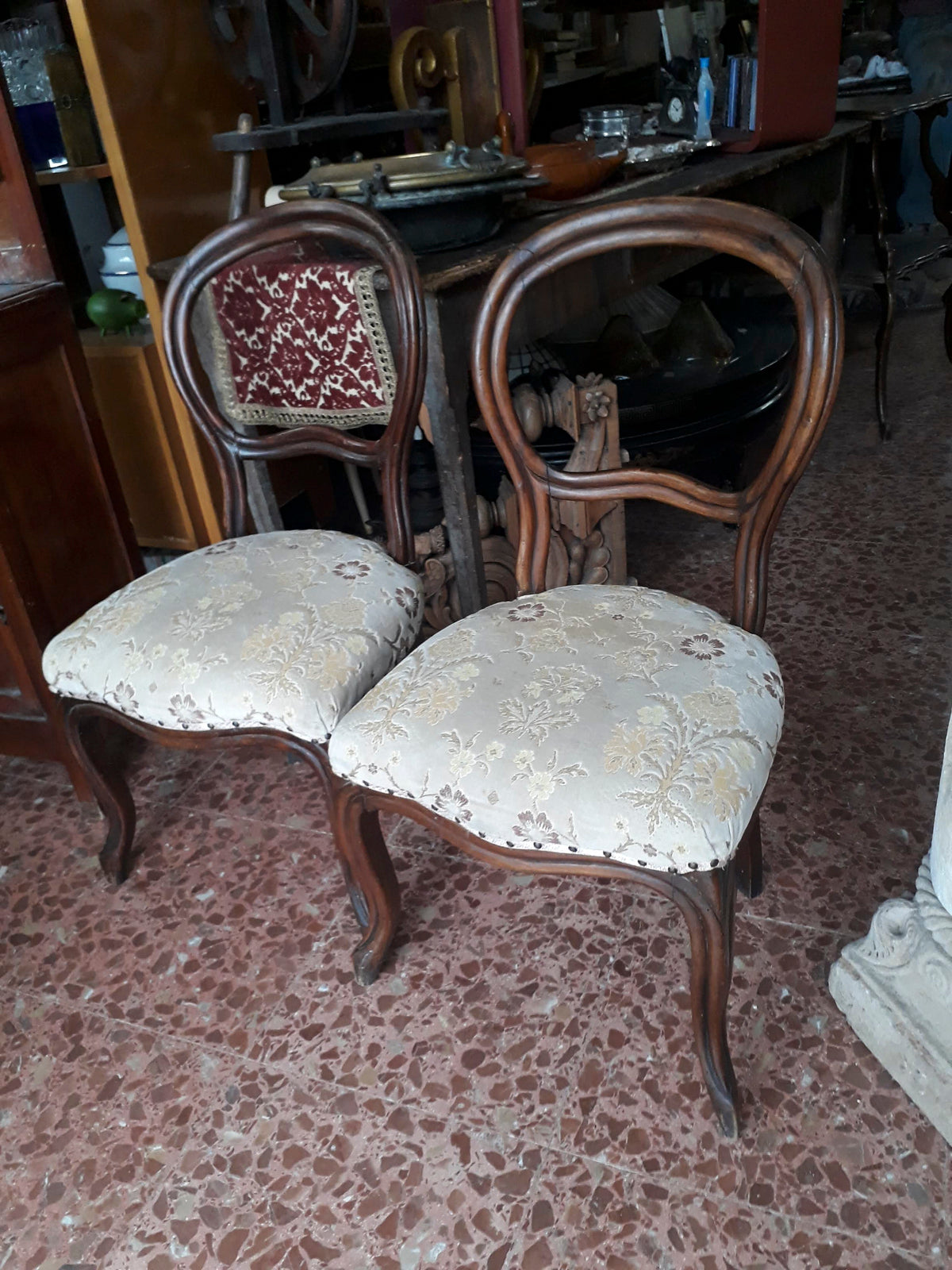 Sedie stile Luigi Filippo rifatte nella metà del 900
