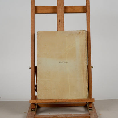 Libro esposizione vaticana illustrata serie seconda 1890