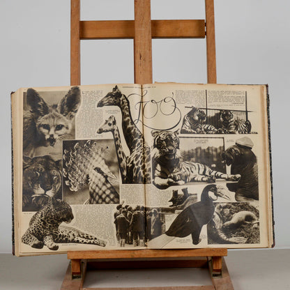 Libro raccolta del giornale rivista illustrazione del popolo 1932