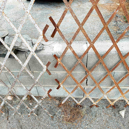Set di grate griglie per finestre in ferro inizio XX secolo
