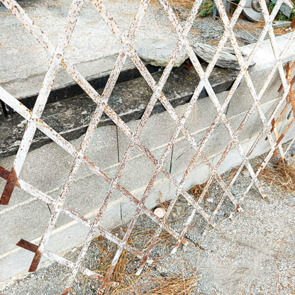 Set di grate griglie per finestre in ferro inizio XX secolo