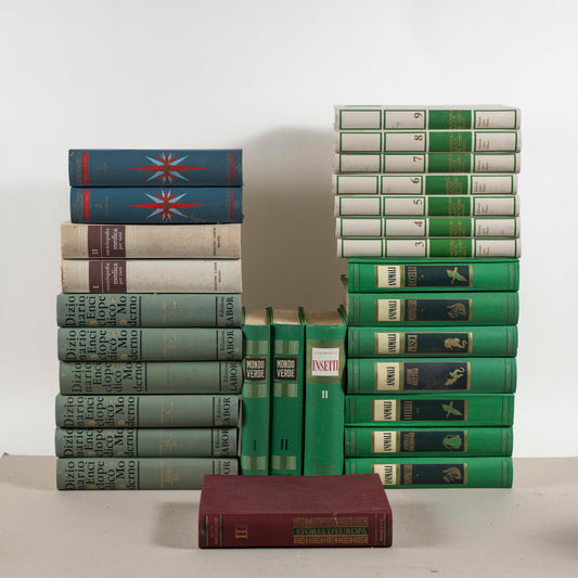 Set di 28 libri finti da decoro vintage XX secolo