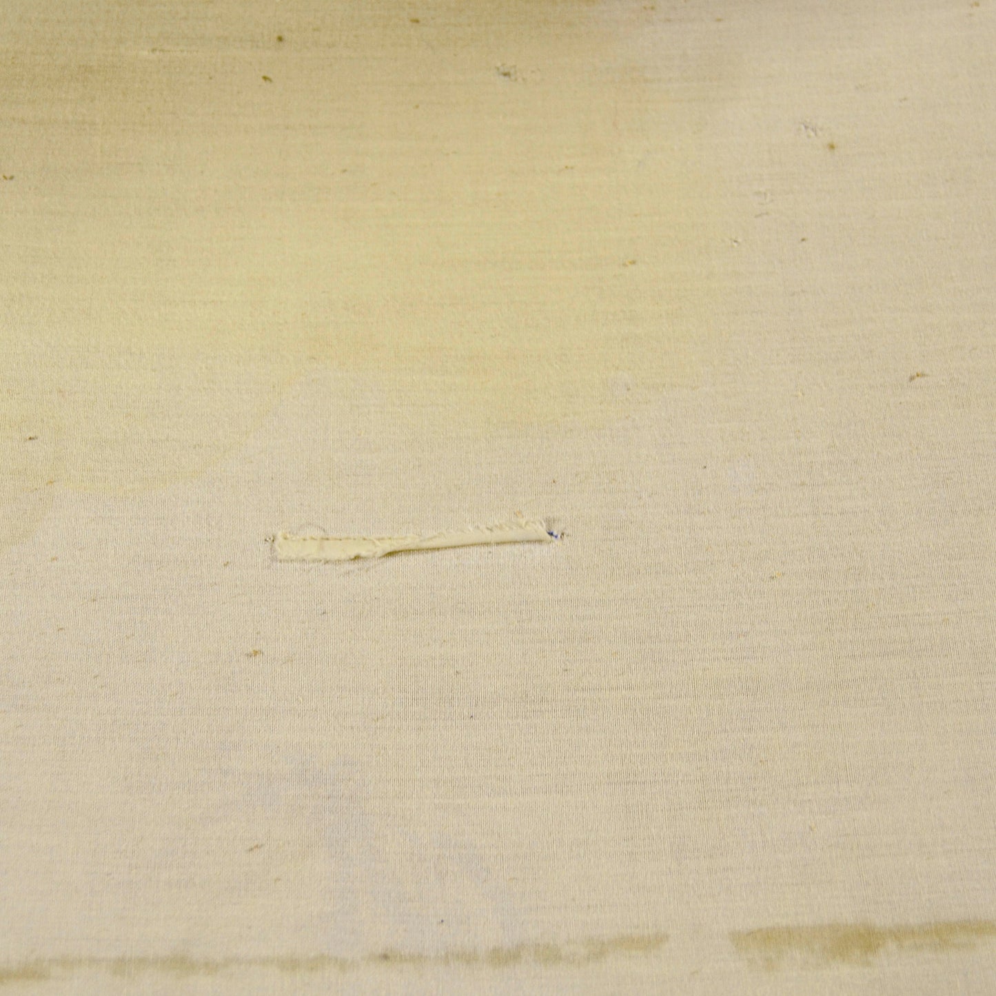 Poltrona Lounge Amanta Di Mario Bellini X CeB Italia In Velluto A Coste Beige E Scocca In Fibra Di Vetro Anni 70