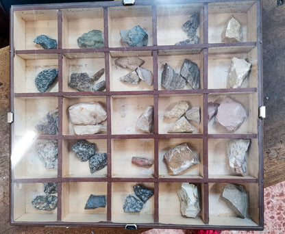 Gruppo di 4 teche  per scuola contenenti  minerali anni primi 900